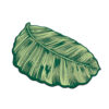 Covoraș baie Sheet - 510CHL1374 | 100% polyester | 60x100 cm